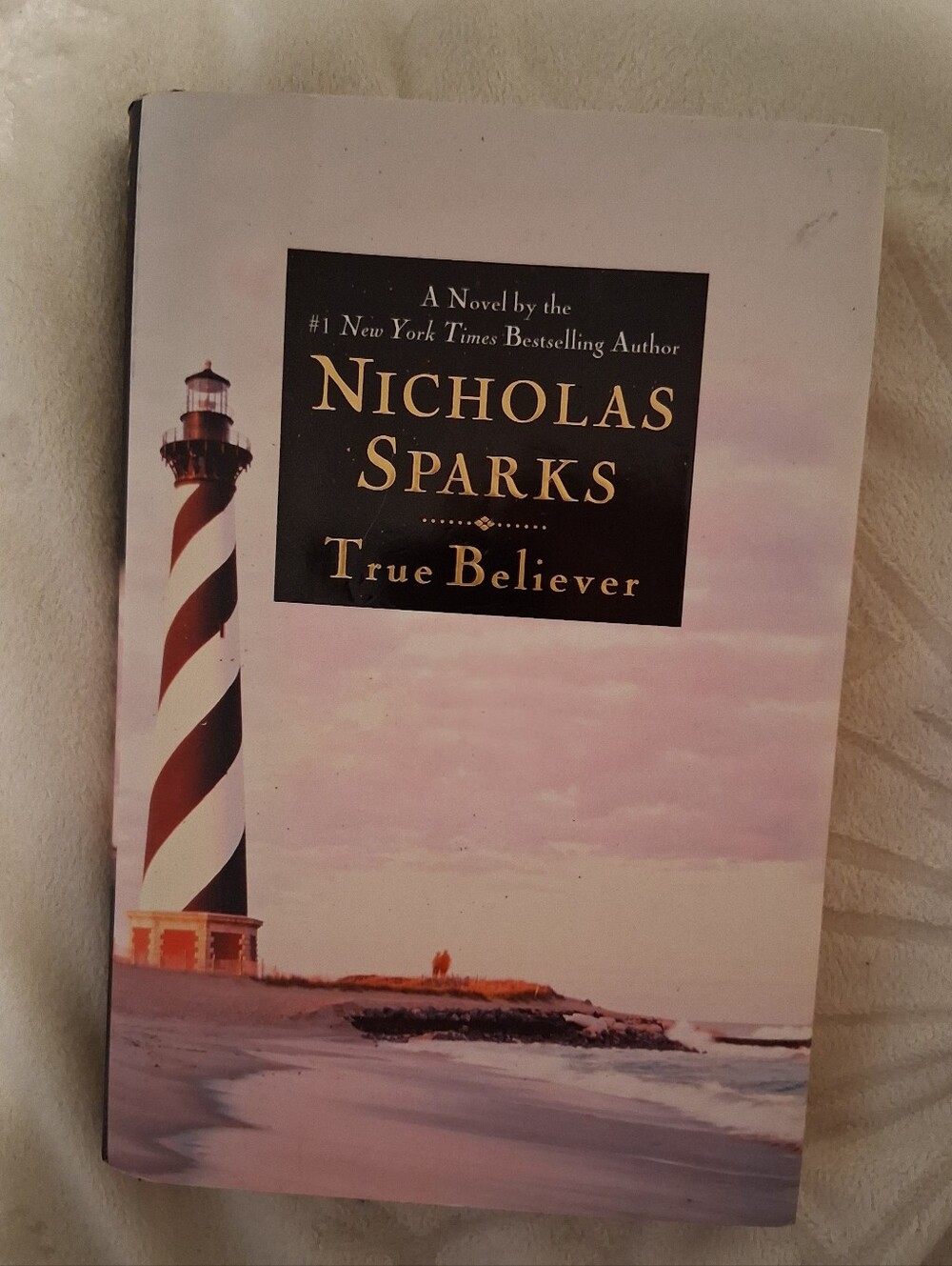 Nicholas Sparks True Believer